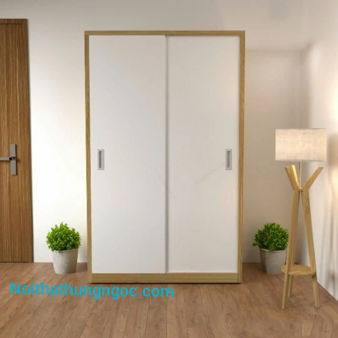 Hình ảnh thực tế Tủ Quần Áo 2 Cánh Lùa Hiện Đại - HN904-Min