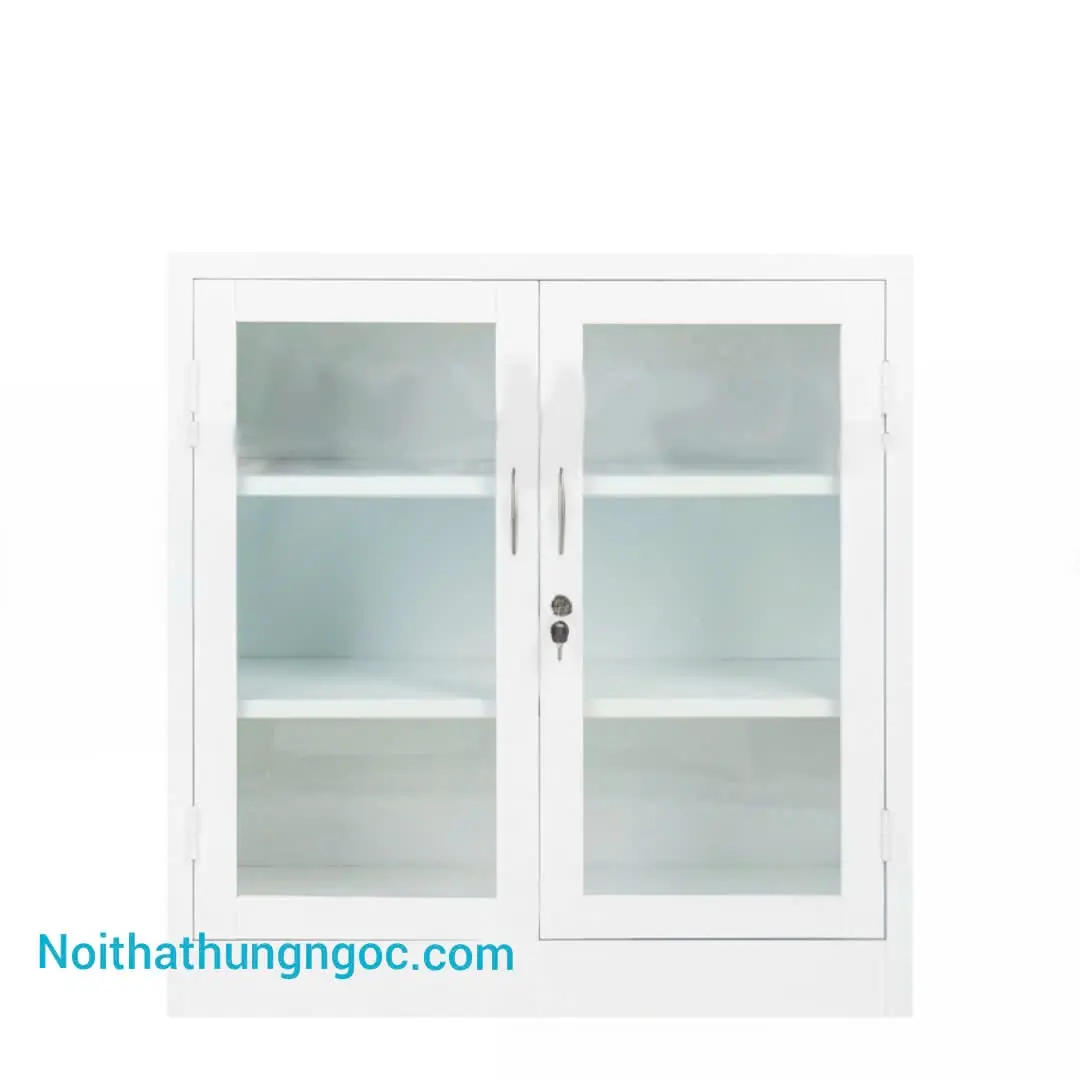 Nội thất Hùng Ngọc - Tủ Tài Liệu Sắt Thấp 2 Cánh Kính - HN1404