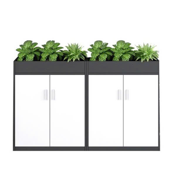 Hình ảnh thực tế Tủ Cây 4 Cánh-HN312
